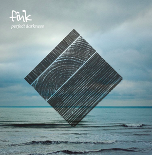 Fink Perfect Darkness cover artwork