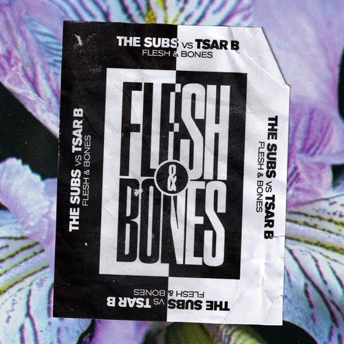 The Subs & Tsar B — Flesh &amp; Bones cover artwork