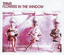 Travis Flowers in the Window cover artwork