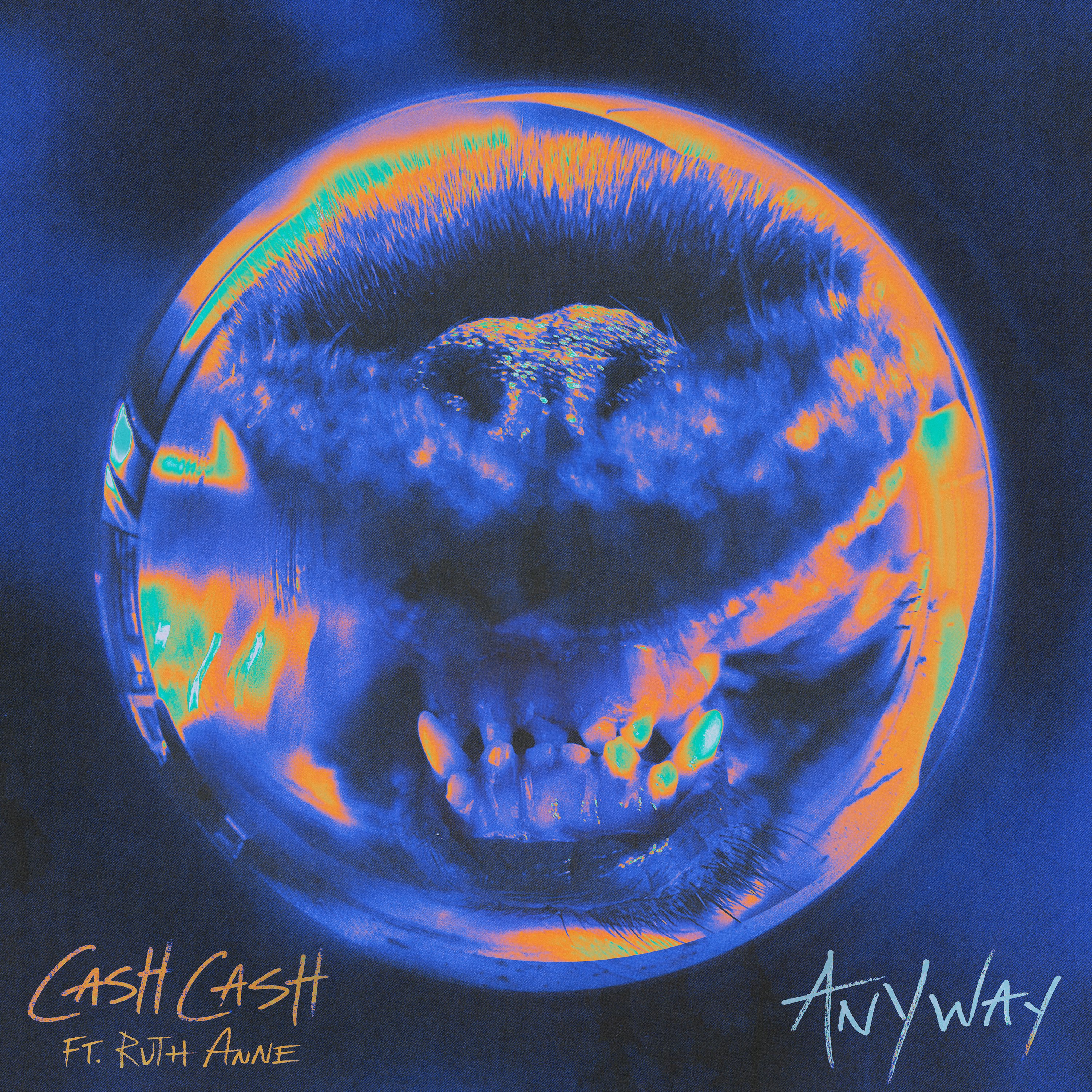 Cash Cash featuring RuthAnne — Anyway cover artwork