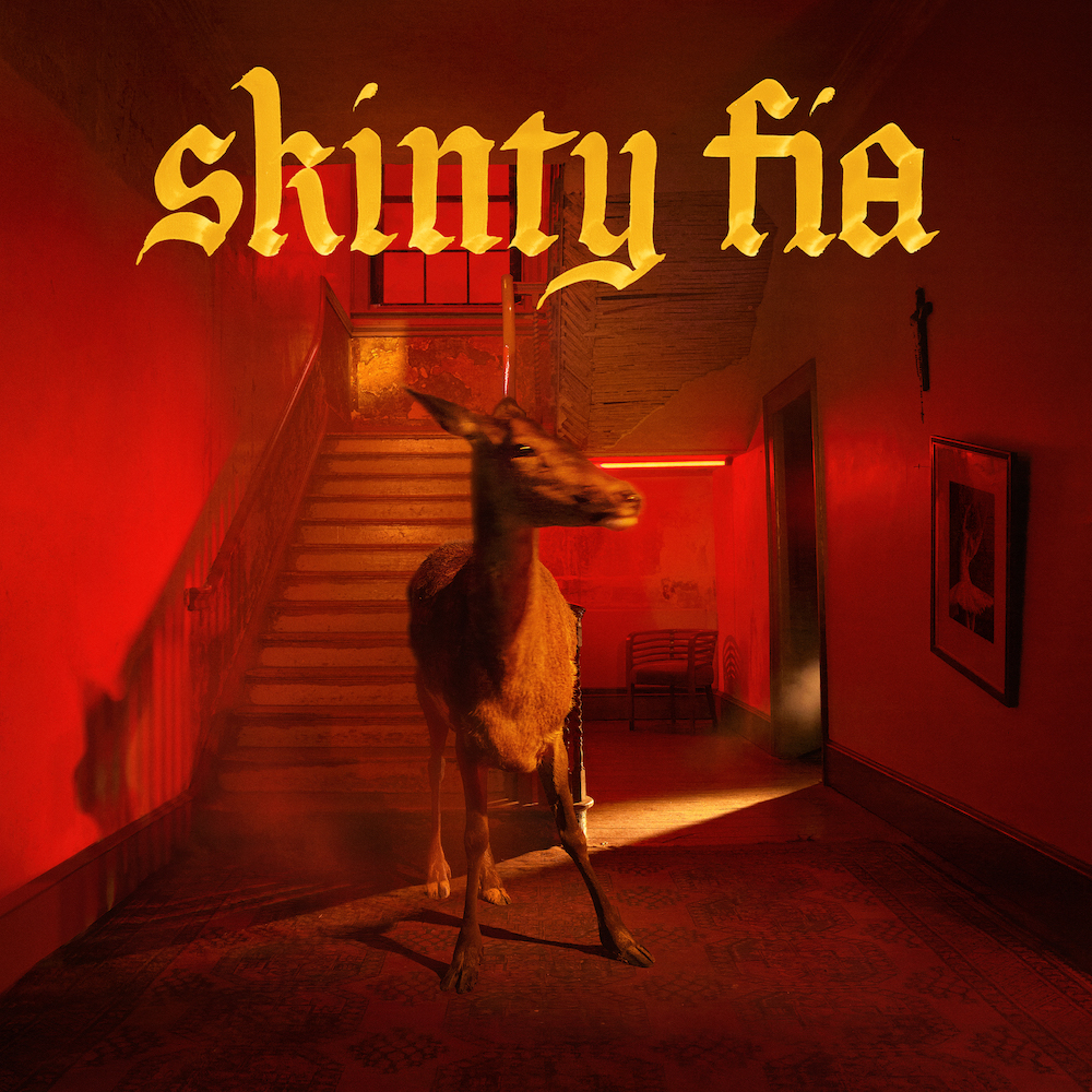 Fontaines D.C. Skinty Fia cover artwork