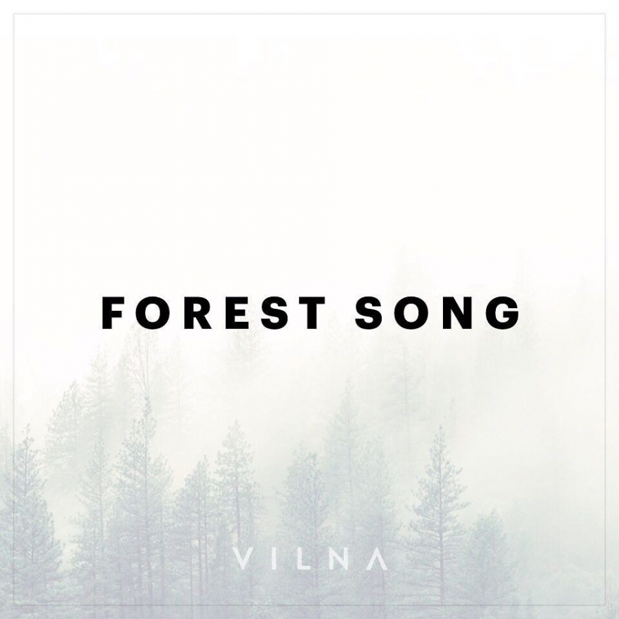 Vilna Forest Song cover artwork