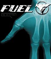 Fuel — Falls on Me cover artwork