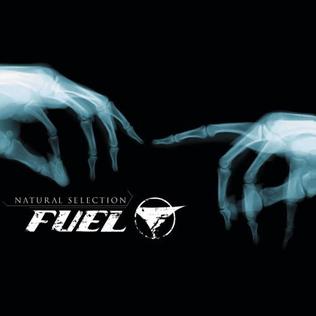 Fuel Natural Selection cover artwork