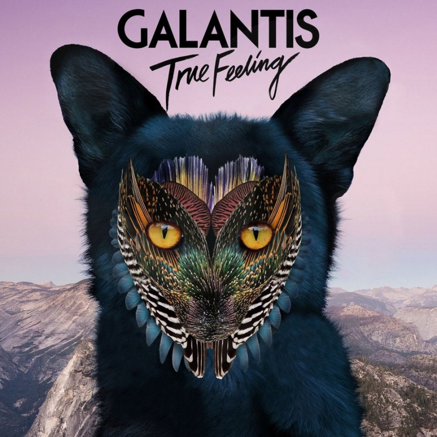 Galantis True Feeling cover artwork