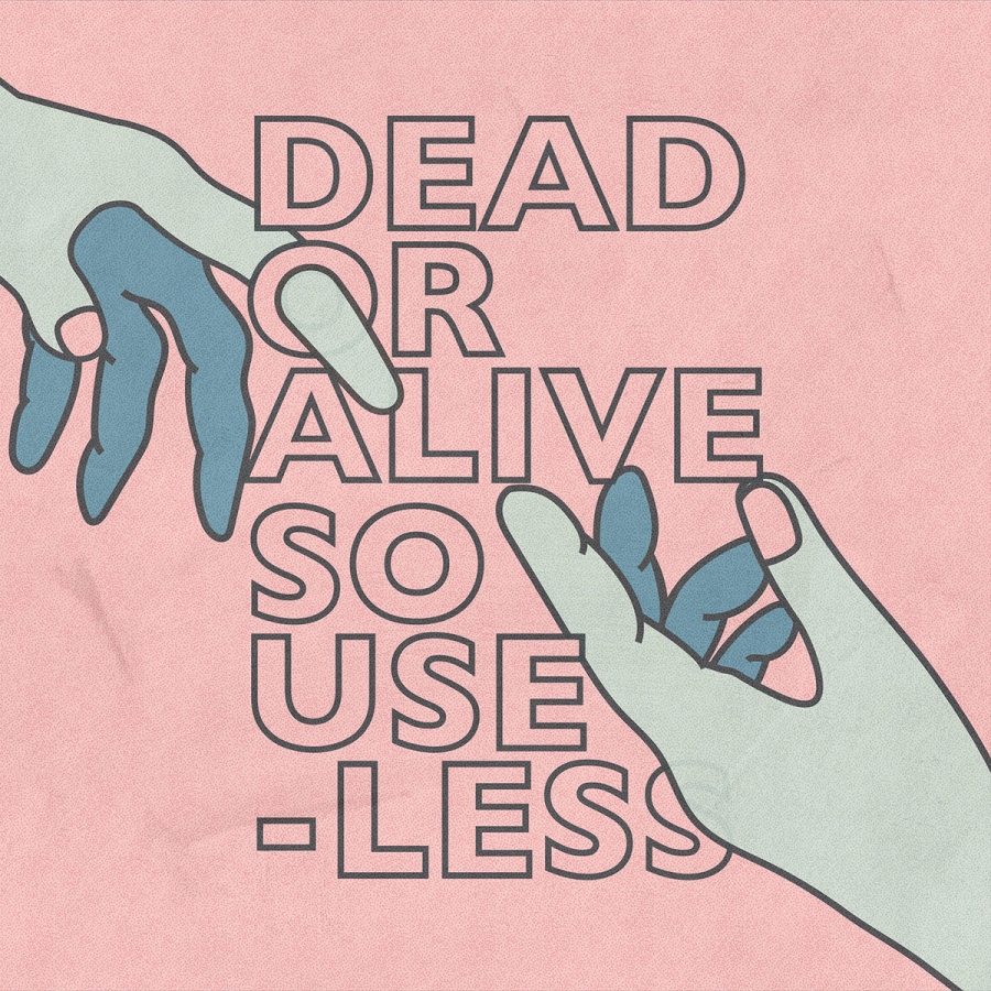 Gender Roles Dead or Alive / So Useless cover artwork