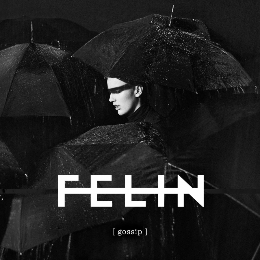 FELIN — Gossip cover artwork