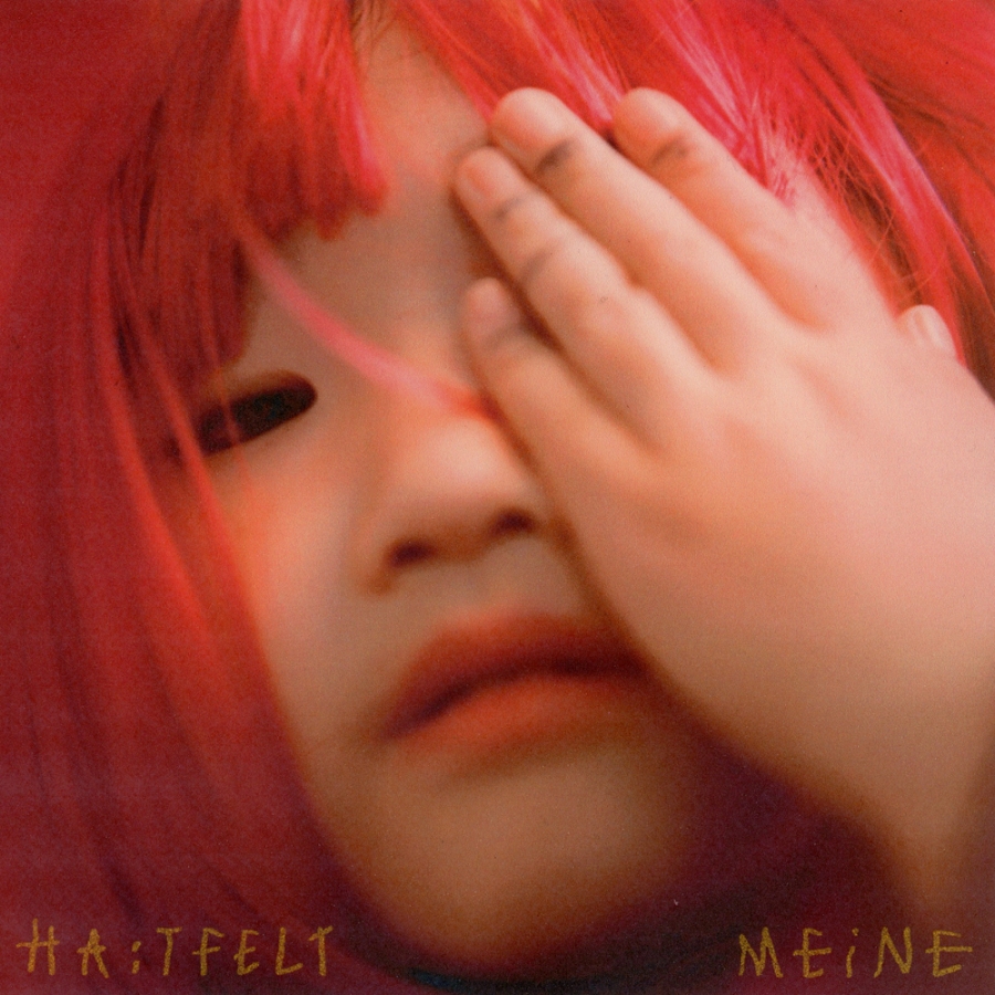 HA:TFELT ft. featuring Gaeko I Wander cover artwork