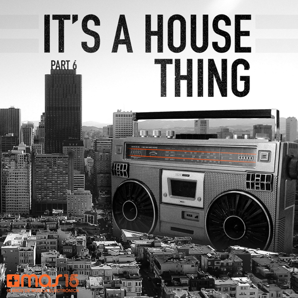 Various Artists It&#039;s a House Thing - Vol. 6 cover artwork