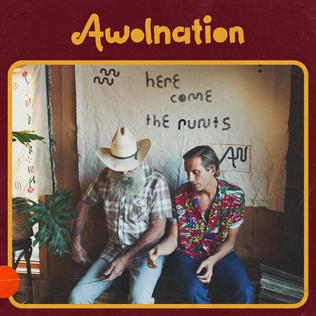 AWOLNATION — The Buffoon cover artwork