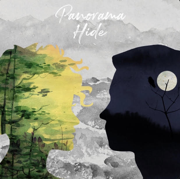 Panorama — Hide cover artwork
