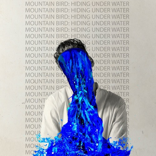 Mountain Bird — Hiding Under Water cover artwork