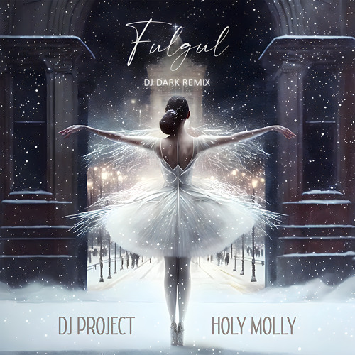 DJ Project & Holy Molly — Fulgul (DJ Dark Remix) cover artwork