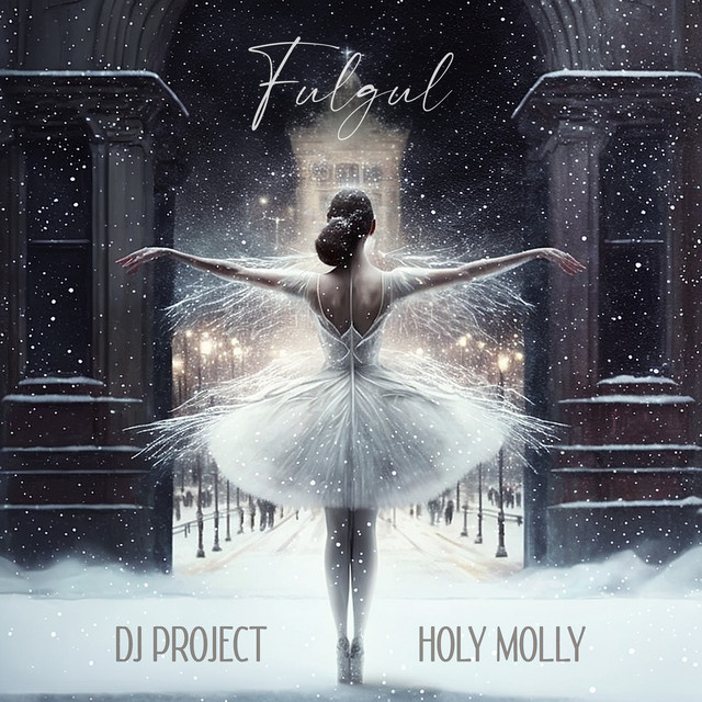 DJ Project & Holy Molly — Fulgul cover artwork