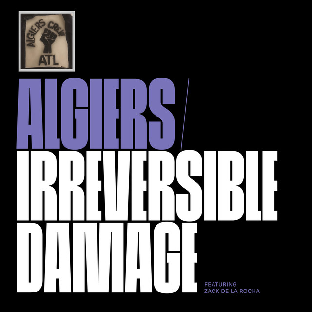 Algiers featuring Zack De La Rocha — Irreversible Damage cover artwork
