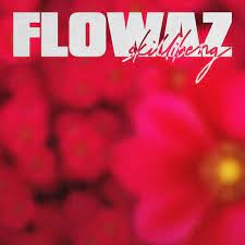 Skillibeng — Flowaz cover artwork