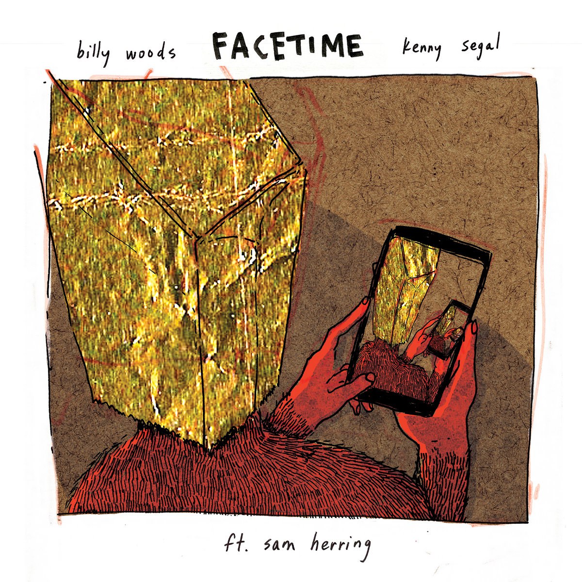 Billy Woods & Kenny Segal featuring Samuel T. Herring — FaceTime cover artwork
