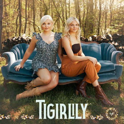 Tigirlily Gold — Everybody&#039;s On Something cover artwork