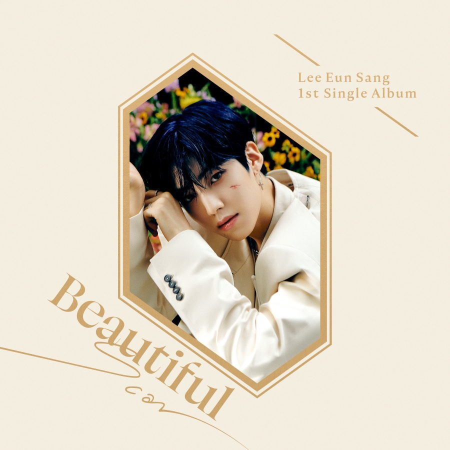 LEE EUN SANG featuring PARK WOO JIN — Beautiful Scar cover artwork