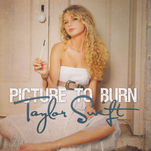 Taylor Swift Picture to Burn cover artwork