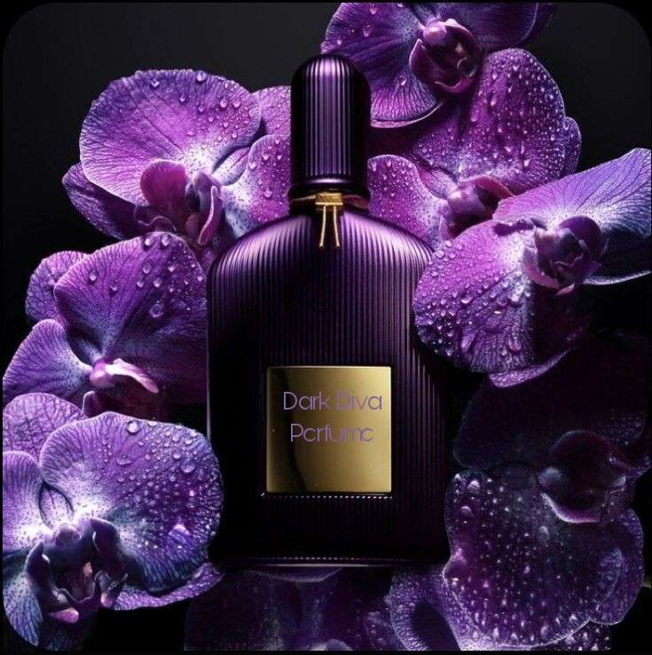 Dark Diva — Perfume cover artwork