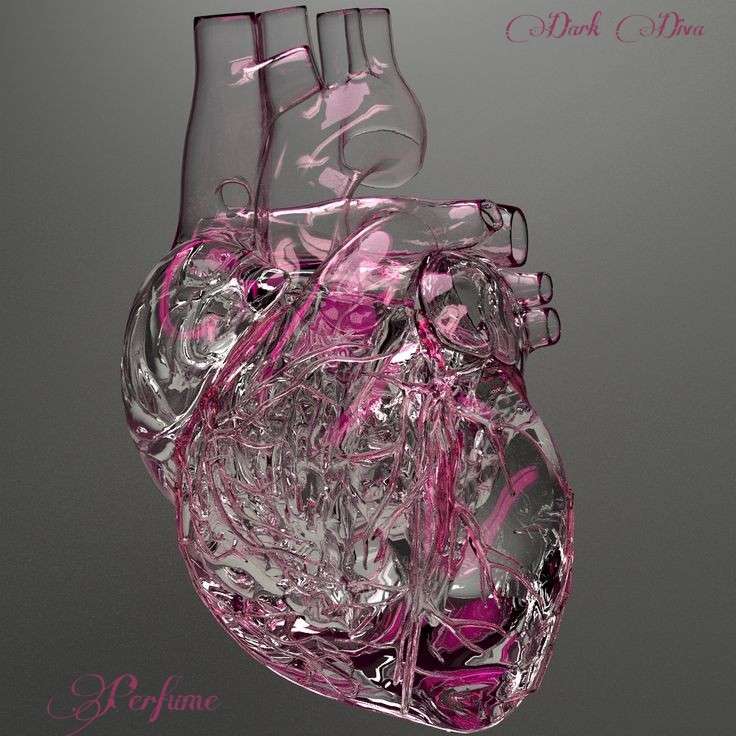 Dark Diva — Heart Attack cover artwork