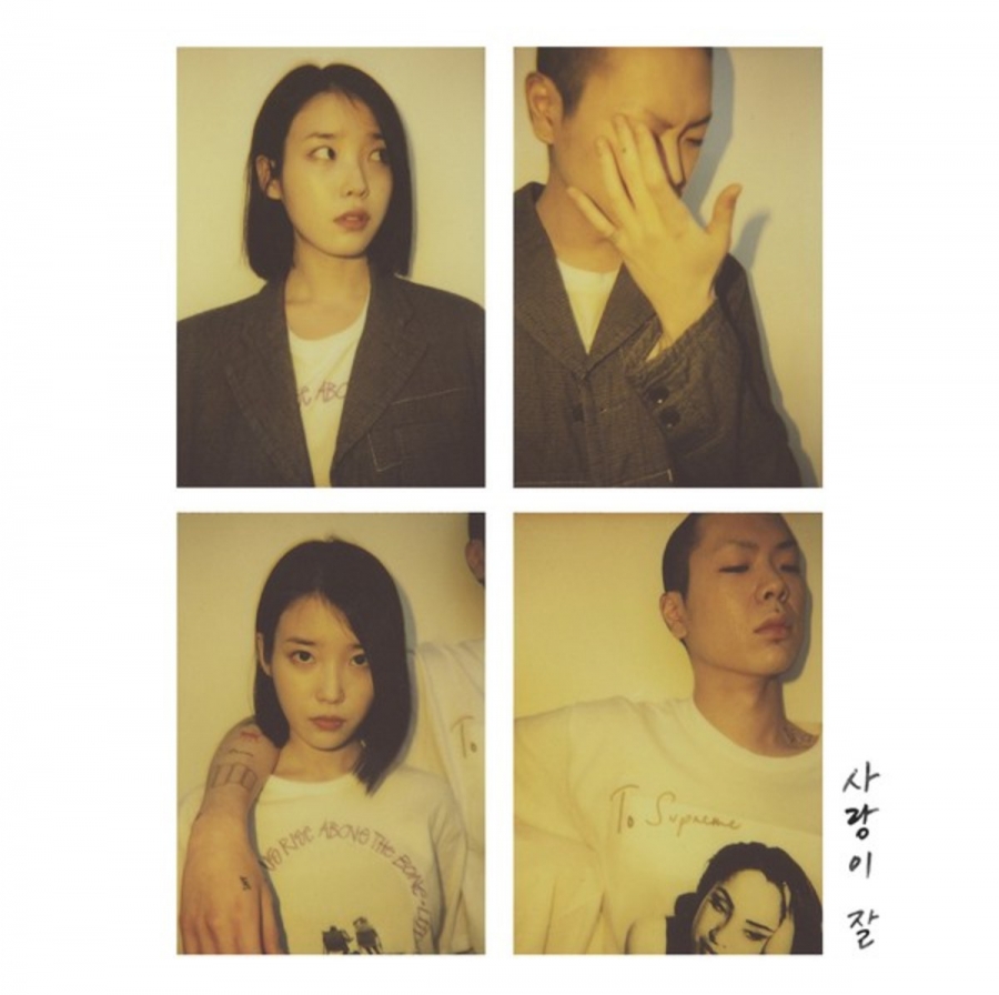 IU featuring Oh Hyuk — Can&#039;t Love You Anymore cover artwork