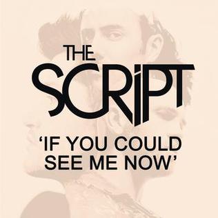The Script If You Could See Me Now cover artwork