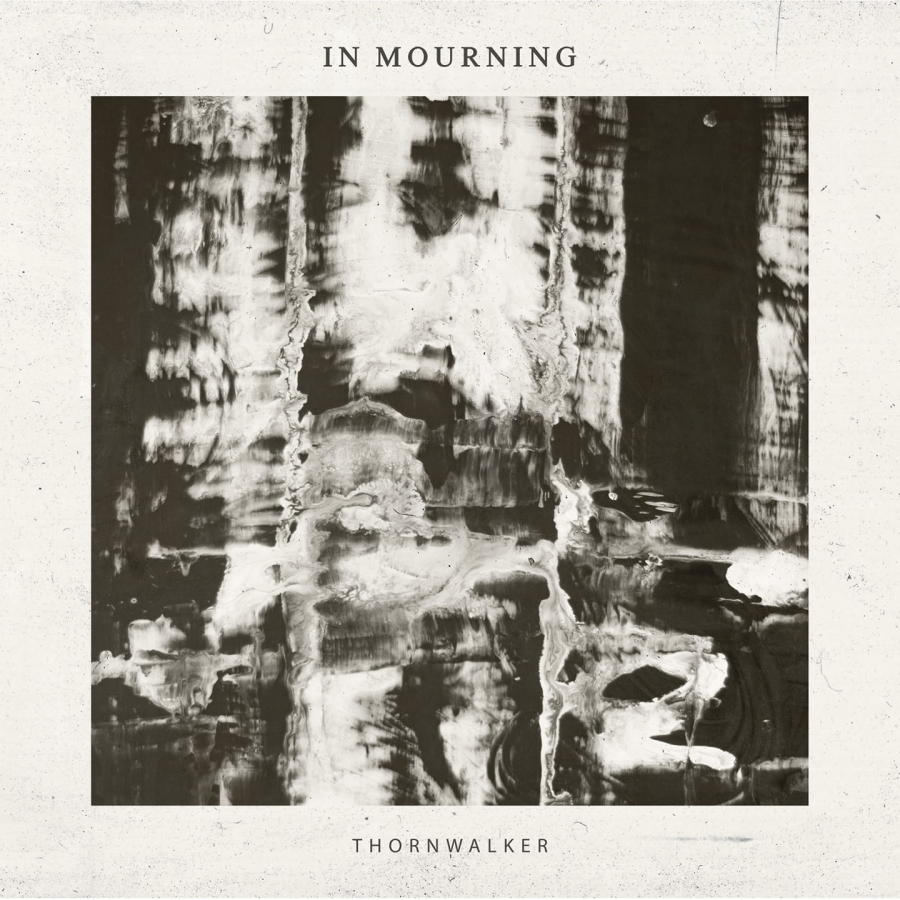 In Mourning The Bleeding Veil cover artwork