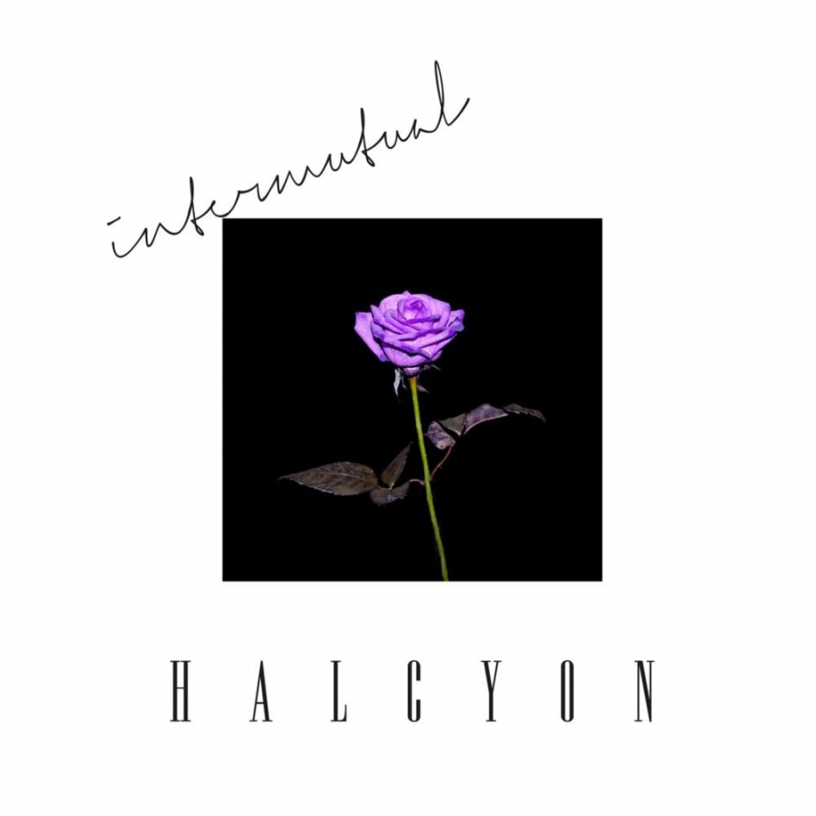Halcyon — Intermutual cover artwork