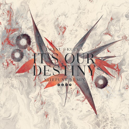 IMANU & Kučka It&#039;s Our Destiny - Nitepunk Remix cover artwork