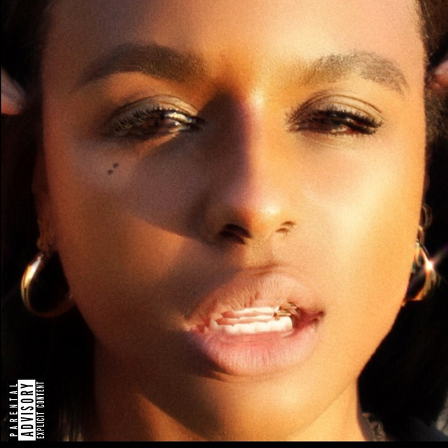 Jae Stephens — f**k it i'll do it myself cover artwork