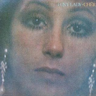 Cher Living in a House Divided cover artwork