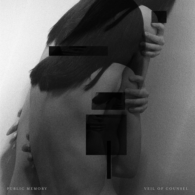 Public Memory — Verdict cover artwork