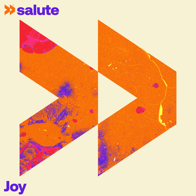 salute — Joy cover artwork