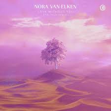 Nora Van Elken & Felix Samuel — Love Without You cover artwork