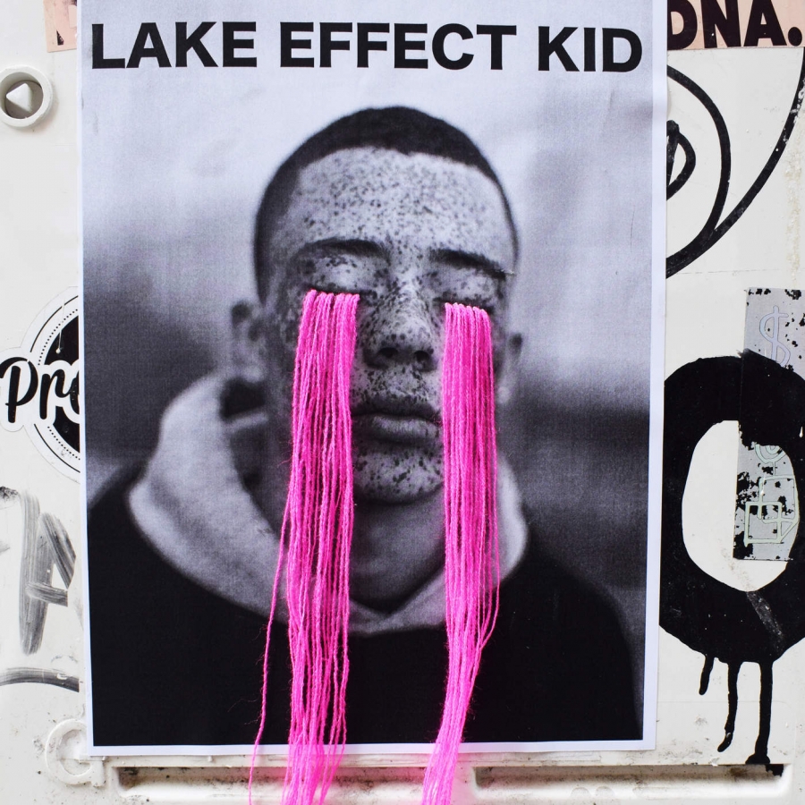 Fall Out Boy — Lake Effect Kid cover artwork