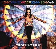 Lenny Kravitz Are You Gonna Go My Way cover artwork