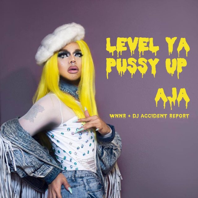 Aja — Level Ya Pussy Up cover artwork