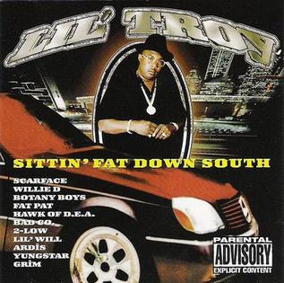 Lil&#039; Troy Sittin&#039; Fat Down South cover artwork