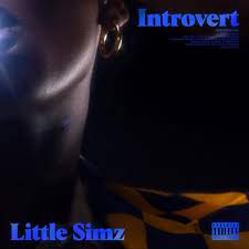 Little Simz Introvert cover artwork