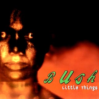 Bush — Little Things cover artwork