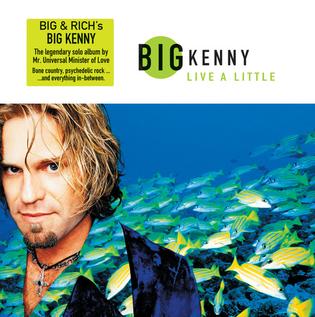 Big Kenny — Under The Sun cover artwork