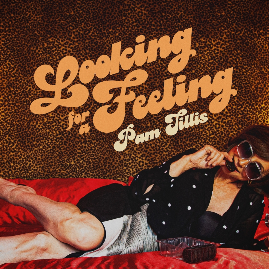 Pam Tillis — Looking for a Feeling cover artwork
