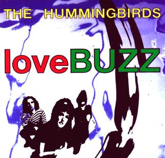 Hummingbirds — Blush cover artwork