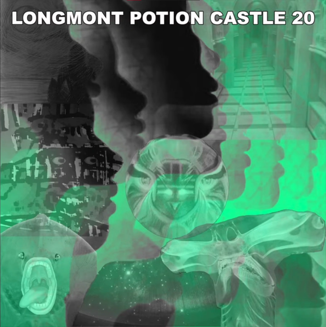 Longmont Potion Castle — 20 cover artwork