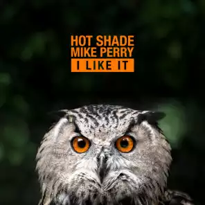 Hot Shade & Mike Perry — I Like It cover artwork