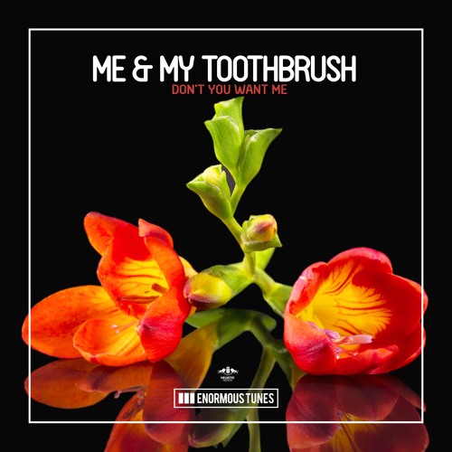 Me &amp; My Toothbrush — Don&#039;t You Want Me cover artwork