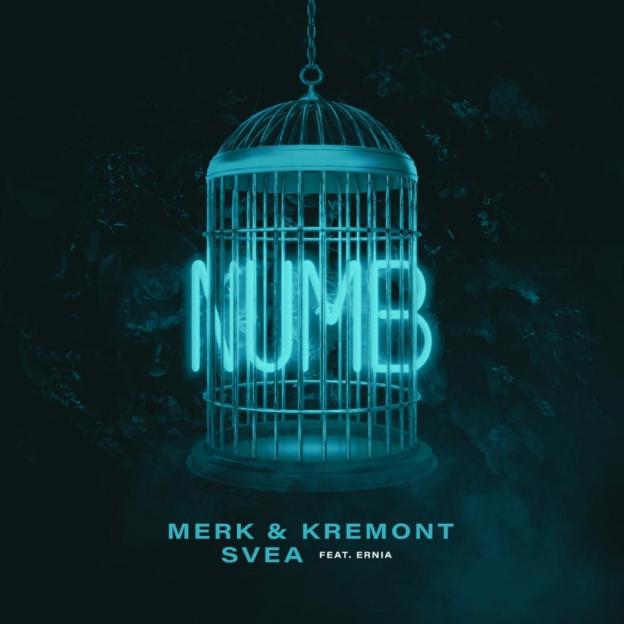 Merk &amp; Kremont featuring SVEA & Ernia — Numb cover artwork
