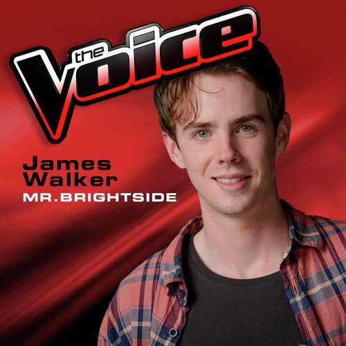 James Walker — Mr. Brightside cover artwork